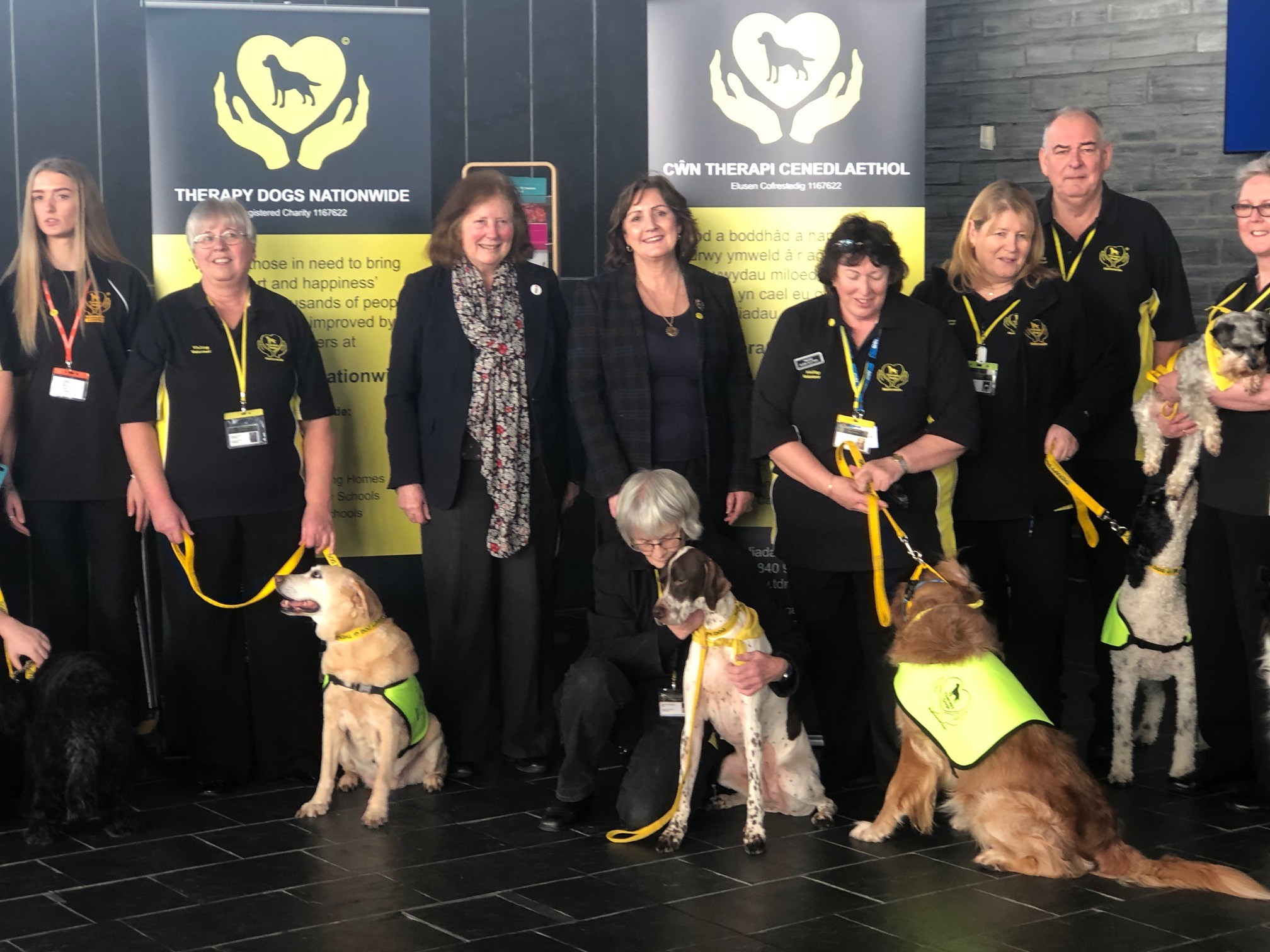 Shadow Welsh Minister for Social Care Hosts Therapy Dogs